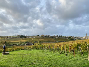 Saint-Émilion vineyards in autumn