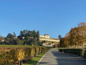 Saint-Émilion vineyards in autumn