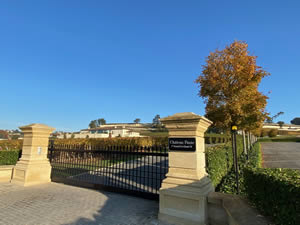 Saint-Émilion vineyards in autumn