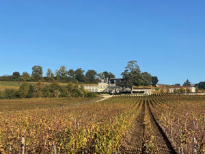 Saint-Émilion vineyards in autumn