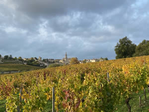 Saint-Émilion vineyards in autumn