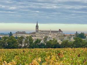 Saint-Émilion vineyards in autumn