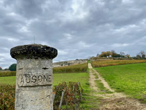 Saint-Émilion vineyards in autumn