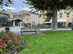 Saint-Émilion vineyards in autumn