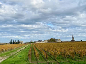 Saint-Émilion vineyards in autumn