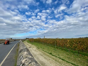 Saint-Émilion vineyards in autumn