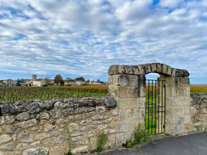 Saint-Émilion vineyards in autumn