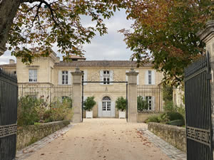 Saint-Émilion vineyards in autumn