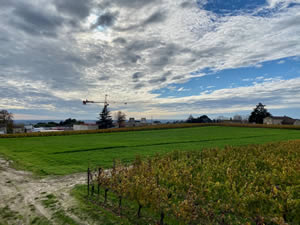 Saint-Émilion vineyards in autumn