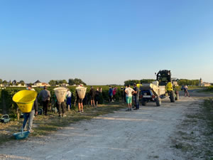 Harvest 2020 - Bordeaux red