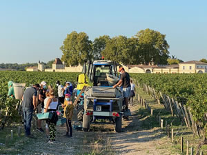 Harvest 2020 - Bordeaux red