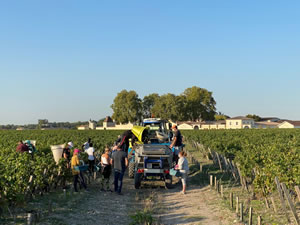 Harvest 2020 - Bordeaux red