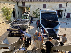 Harvest 2020 - Bordeaux red