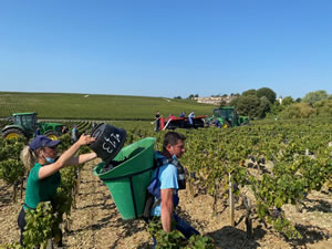 Harvest 2020 - Bordeaux red