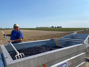 Harvest 2020 - Bordeaux red