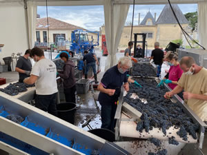 Harvest 2020 - Bordeaux red