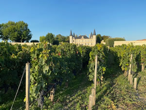 Harvest 2020 - Bordeaux red