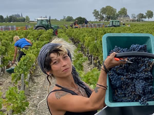 Harvest 2020 - Bordeaux red