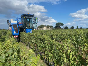 Harvest 2020 - Bordeaux red