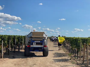 Harvest 2020 - Bordeaux red