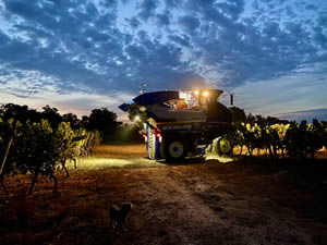 Harvest 2020 - Red harvest