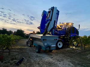 Harvest 2020 - Red harvest