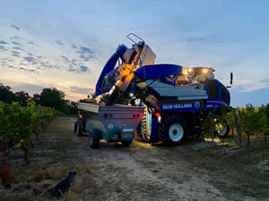 Harvest 2020 - Red harvest