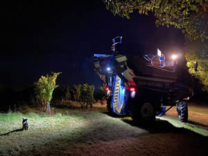 Harvest 2020 - Trois Hectares blanc