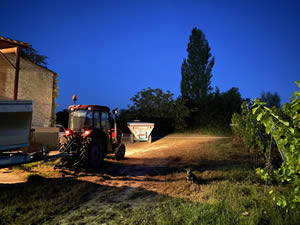 Harvest 2020 - Trois Hectares blanc