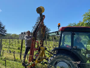 2020- Year in the vineyard