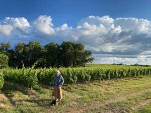 2020- Year in the vineyard