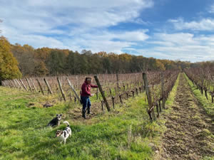 2020- Year in the vineyard