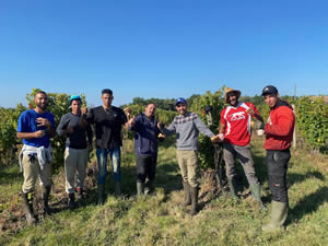 Harvest 2021 - Whites