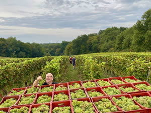 Harvest 2021 - Whites