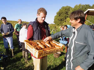 Harvest 2021 - Whites