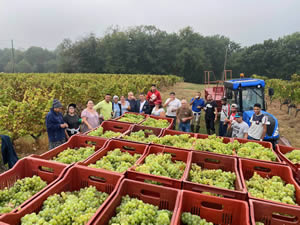 Harvest 2021 - Whites