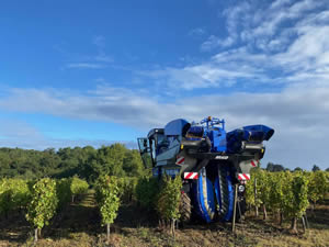 Harvest 2021 - Whites