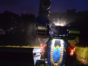 Bauduc Sauvignon Harvest