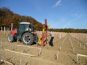 Bauduc Vineyard