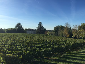 The chateau as seen from the machine