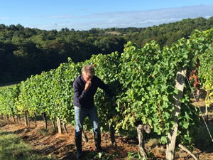 Harvest 2016 - Quinneys Picking