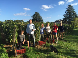 Harvest 2016 - Quinneys Picking