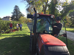 Harvest 2016 - Quinneys Picking