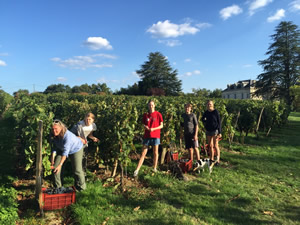 Harvest 2016 - Quinneys Picking