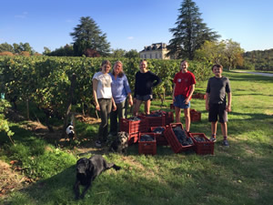 Harvest 2016 - Quinneys Picking