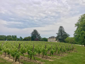 May 2021 Photo Review - Vines 23 May 2019