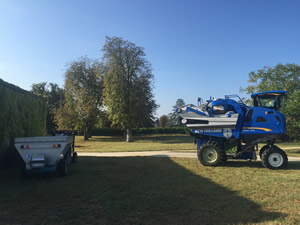 Harvest 2016 - In The Dark