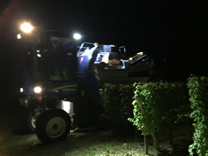 Harvest 2016 - In The Dark