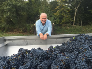 Rick Stein helping with the 2015 Harvest
