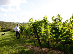 Bauduc Vineyard